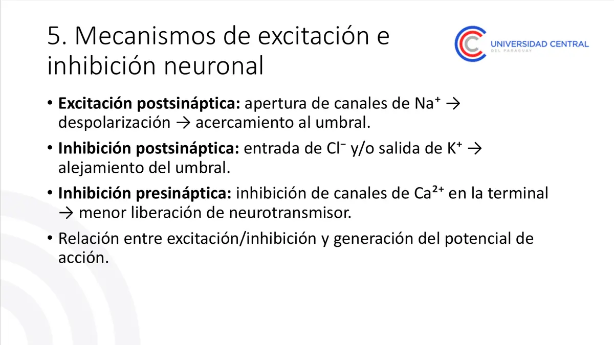 Página con ejercicio sobre sinapsis